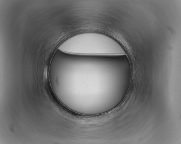 X0000112060021200908041020
