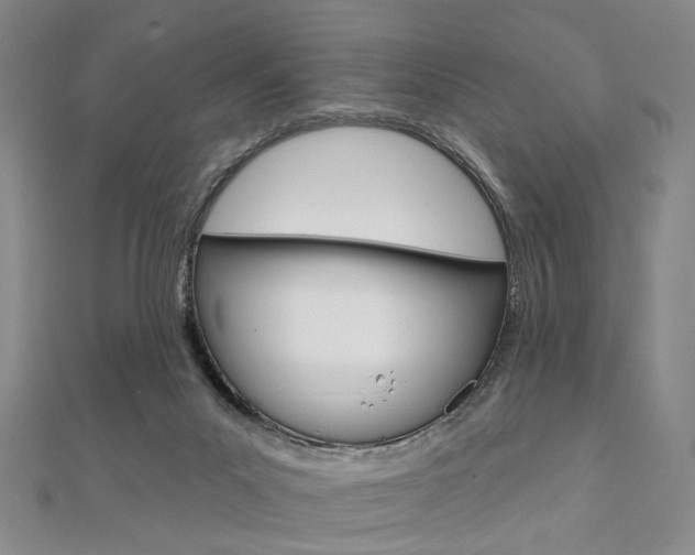 X0000112060023200908041020