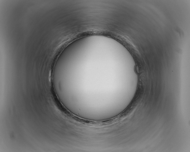 X0000112060024200908041020