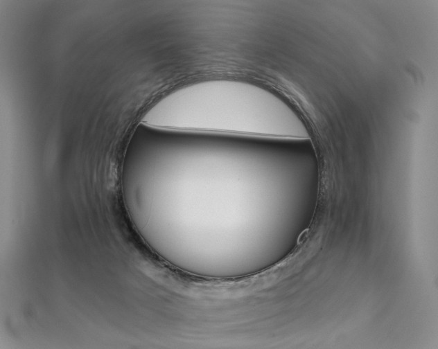 X0000112060025200908041020