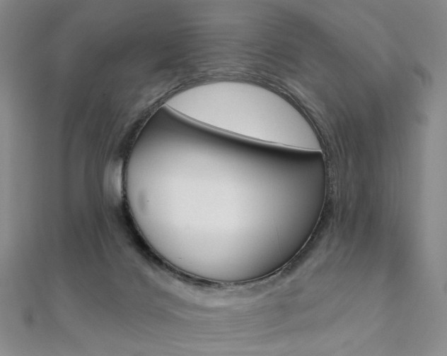 X0000112060028200908041020