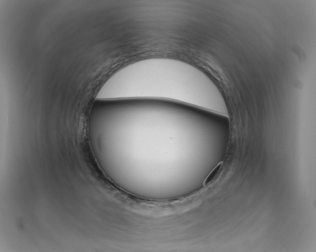 X0000112060029200908041020