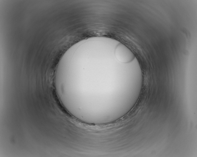 X0000112060030200908041020