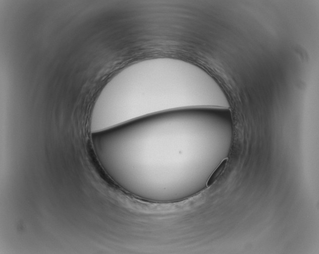 X0000112060031200908041020