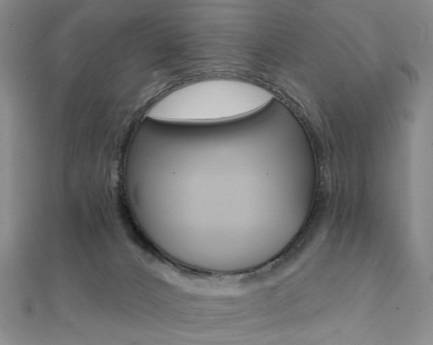 X0000112060032200908041020