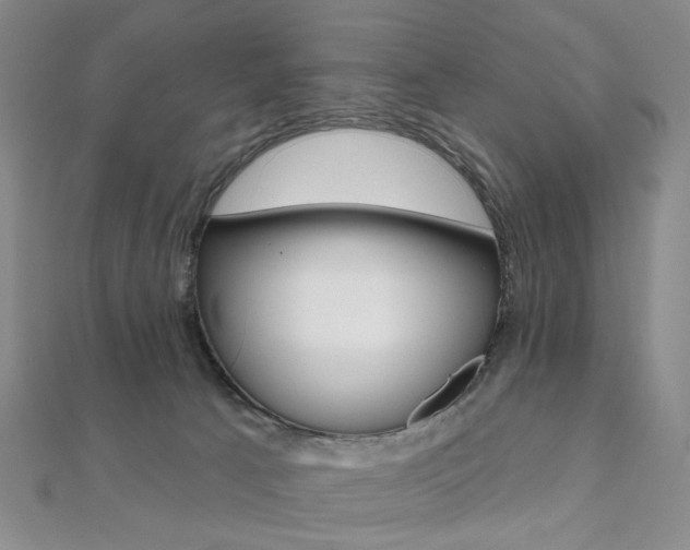 X0000112060033200908041020