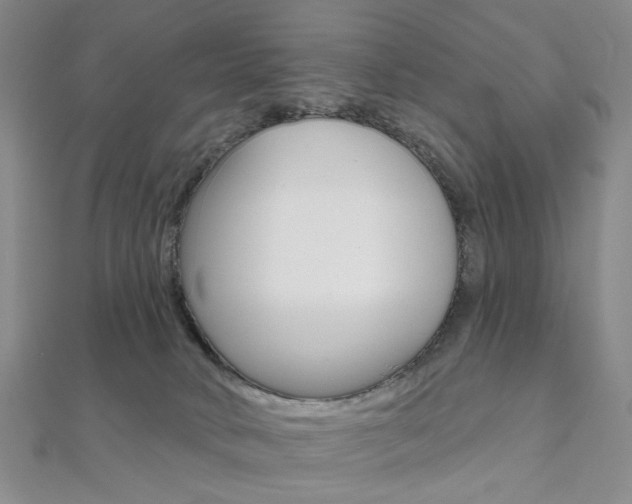 X0000112060034200908041020