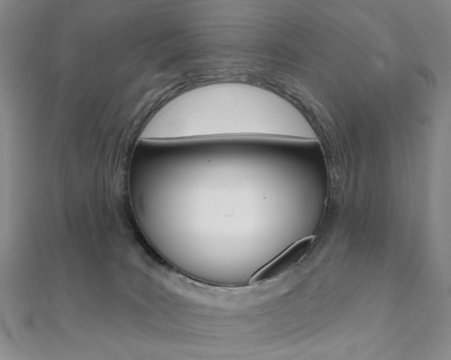 X0000112060035200908041020