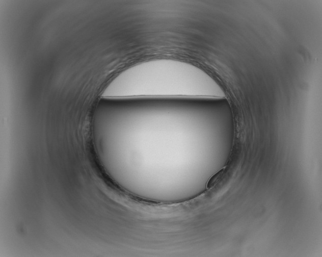 X0000112060036200908041020