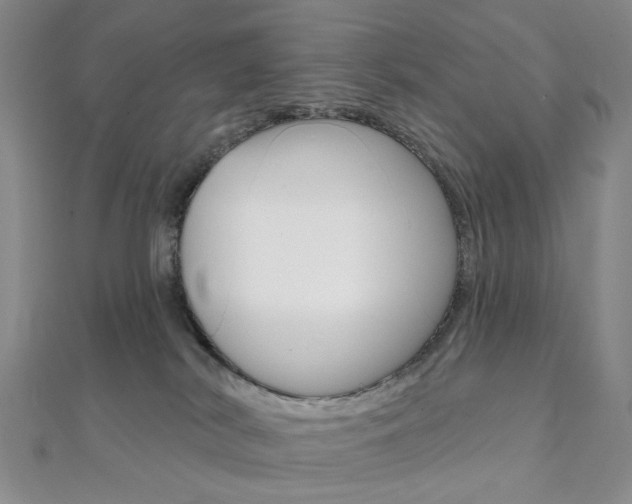 X0000112060038200908041020