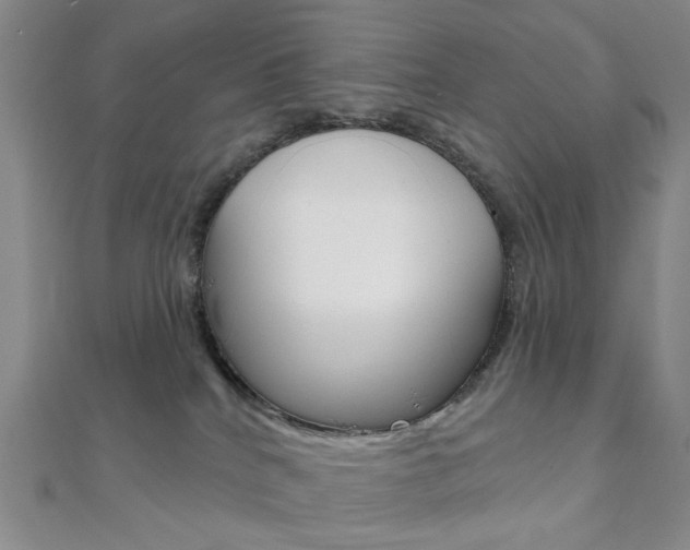 X0000112060040200908041020