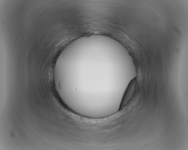 X0000112060043200908041020