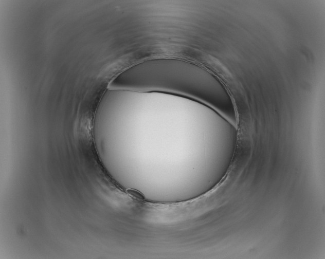 X0000112060045200908041020