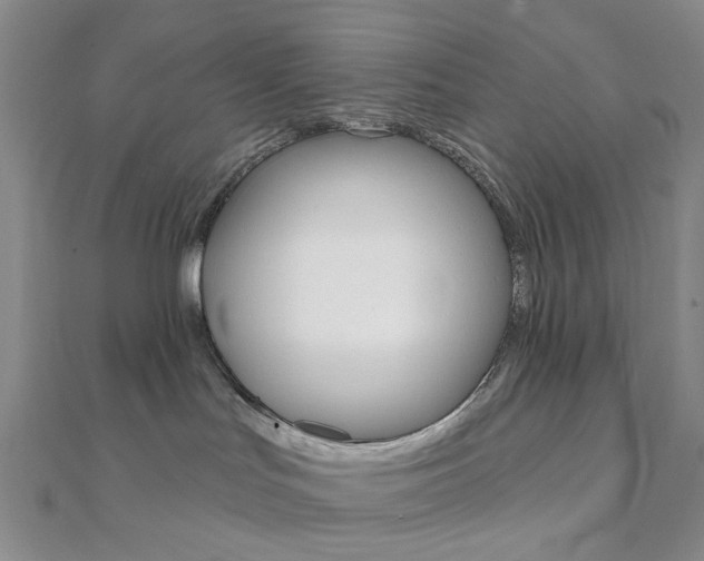 X0000112060047200908041020