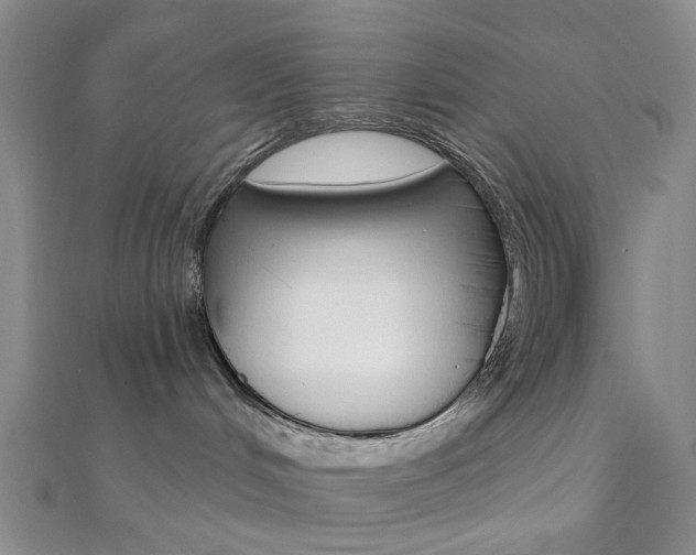 X0000112060048200908041020
