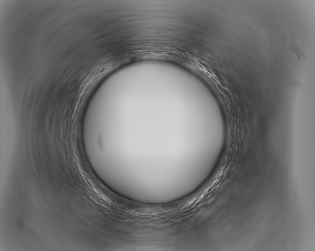 X0000112060049200908041019
