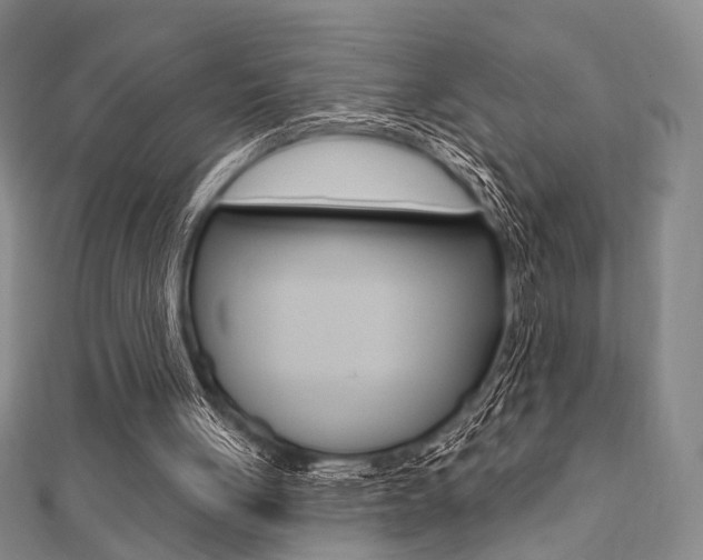 X0000112060051200908041020