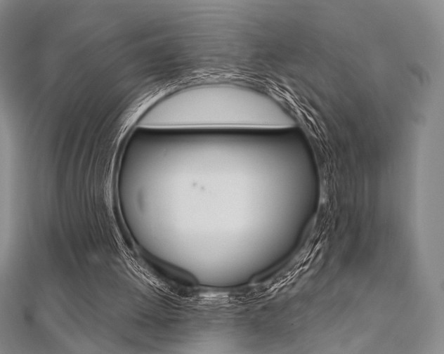 X0000112060052200908041020