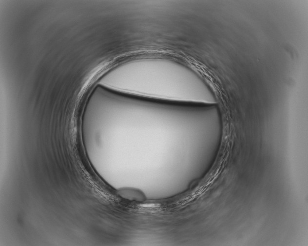 X0000112060053200908041020