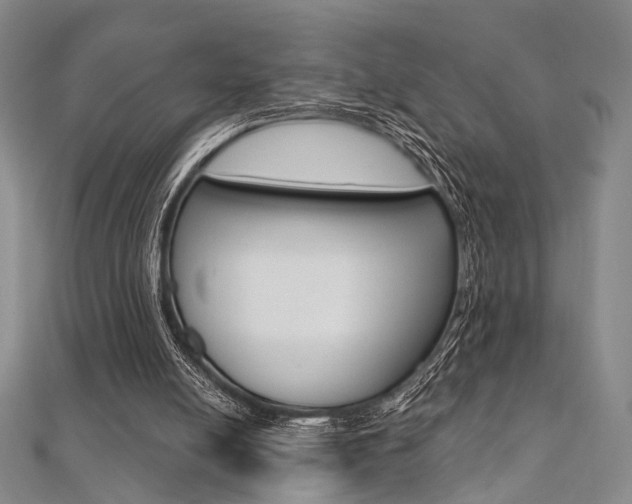 X0000112060054200908041020