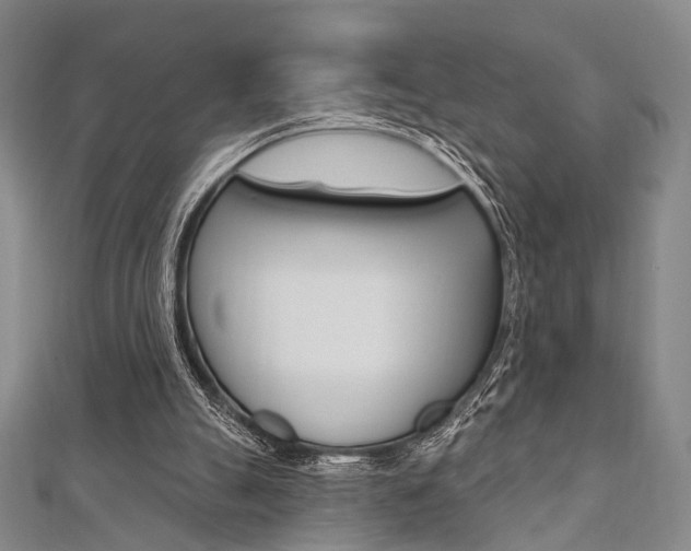 X0000112060055200908041020