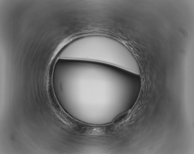 X0000112060056200908041020