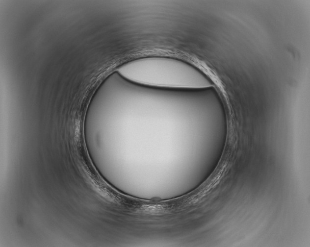 X0000112060057200908041020