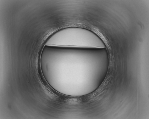 X0000112060058200908041020