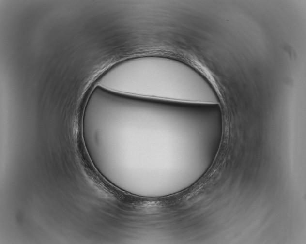 X0000112060059200908041020