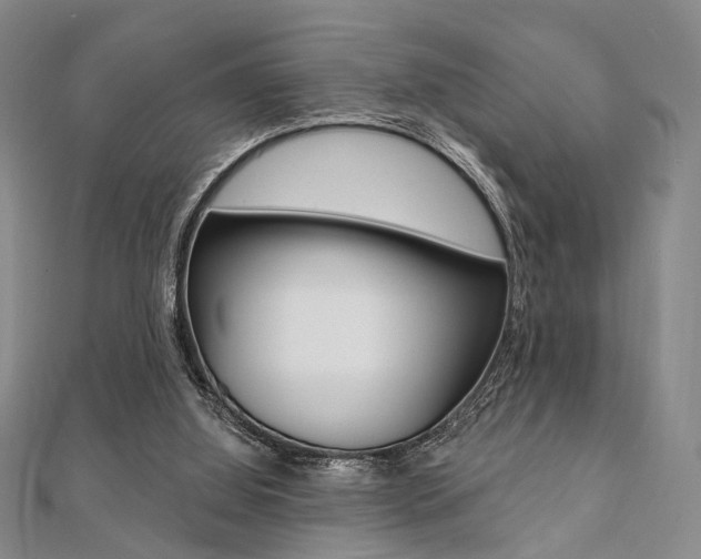 X0000112060060200908041020