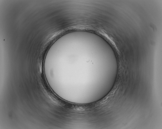 X0000112060062200908041020