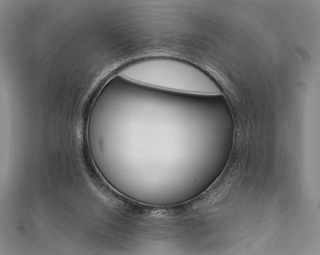 X0000112060064200908041020