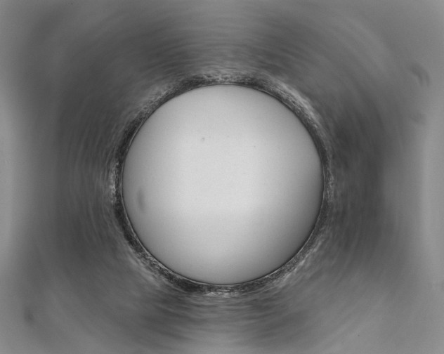 X0000112060065200908041020