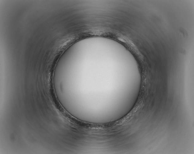 X0000112060066200908041020