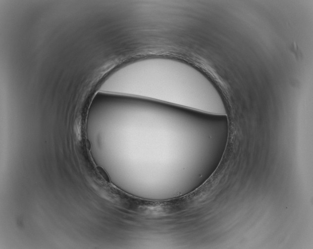 X0000112060068200908041020