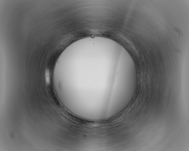 X0000112060075200908041020