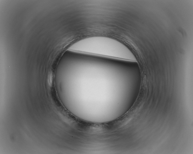 X0000112060076200908041020