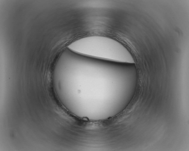 X0000112060077200908041020