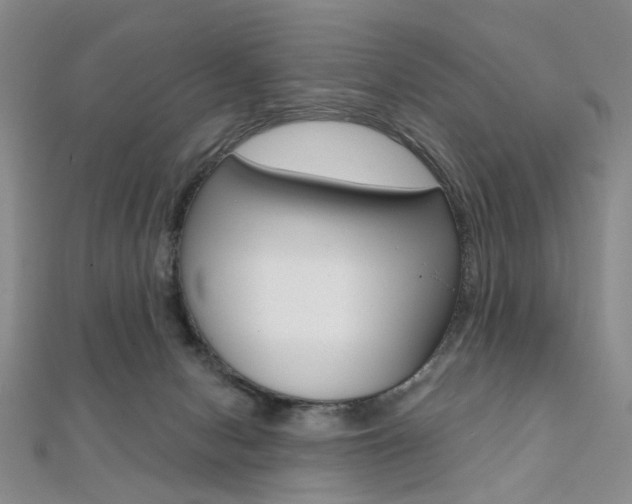 X0000112060078200908041020