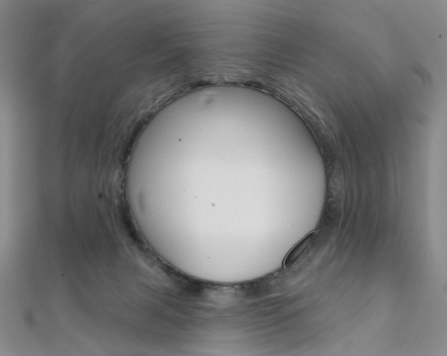 X0000112060079200908041020