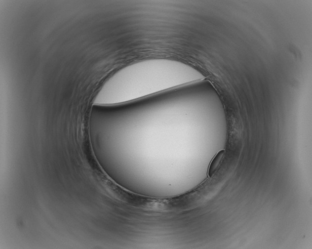 X0000112060080200908041020