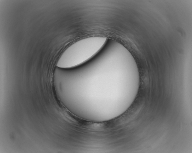 X0000112060081200908041020