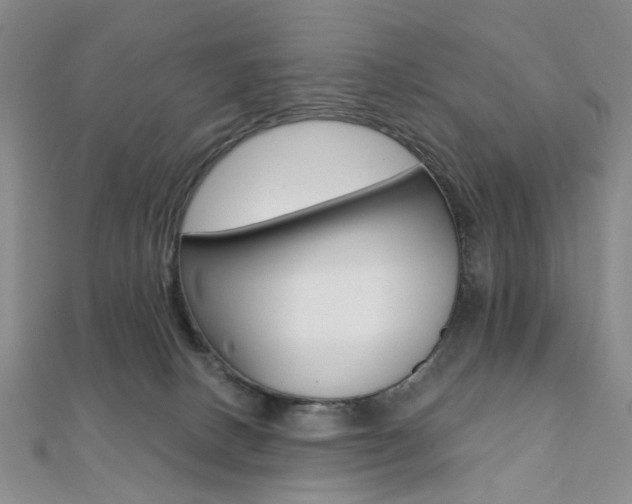 X0000112060082200908041020