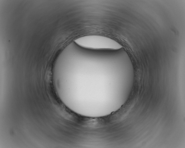 X0000112060083200908041020