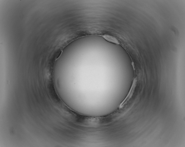 X0000112060084200908041020