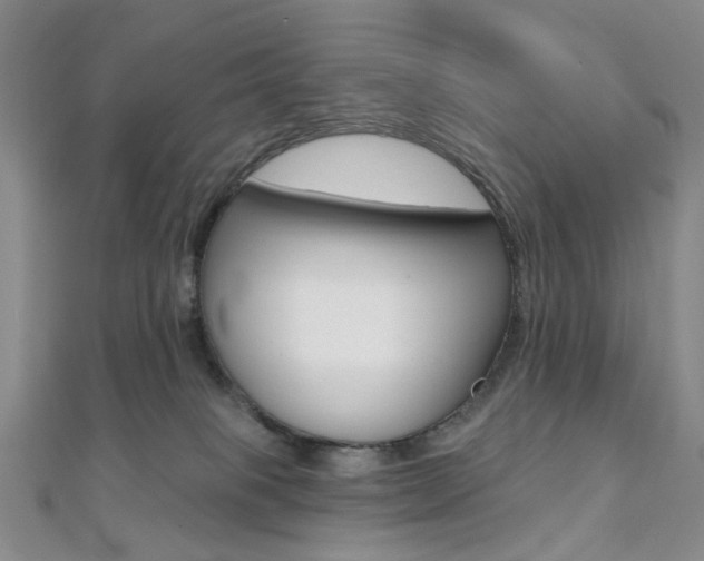 X0000112060085200908041020