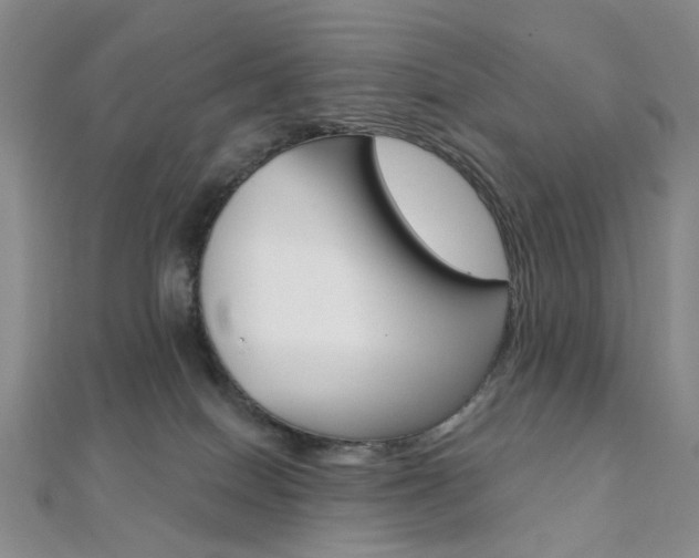 X0000112060086200908041020
