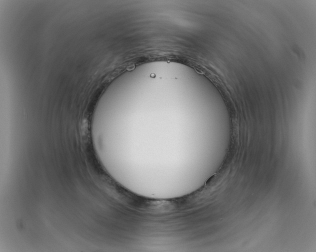 X0000112060087200908041020