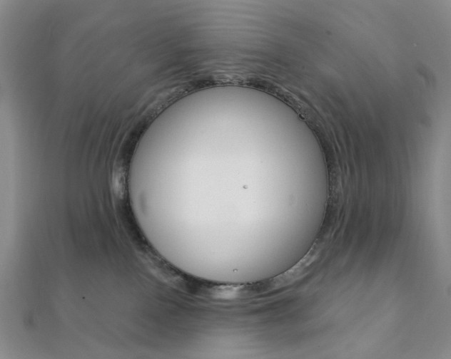 X0000112060090200908041020