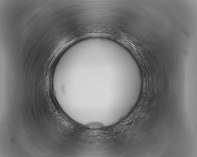 X0000112060098200908041019